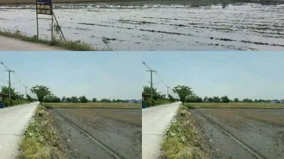 ขายที่ดินหลัง มศว.องครักษ์ 2 แปลง ที่ดินขาย องครักษ์ นครนายก - รูปที่ 4
