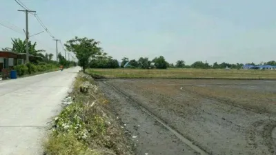 ขายที่ดินหลัง มศว.องครักษ์ 2 แปลง ที่ดินขาย องครักษ์ นครนายก - รูปที่ 5