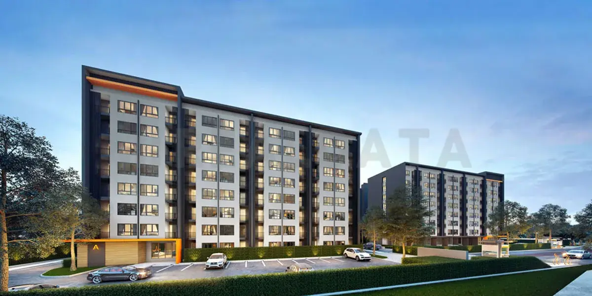 The MiDD Condo
