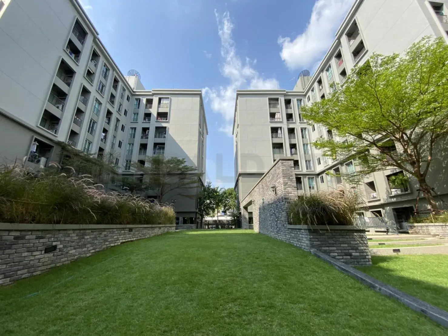 Chapter One The Campus