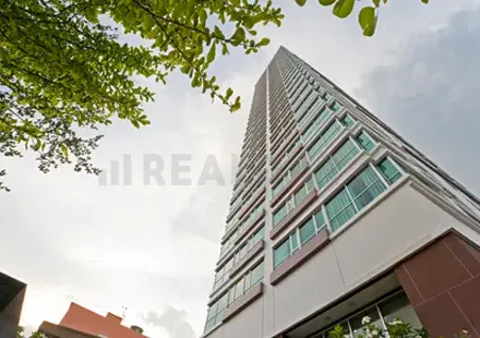 THE ADDRESS