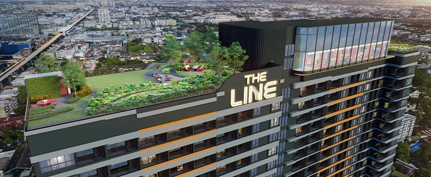 THE LINE VIBE