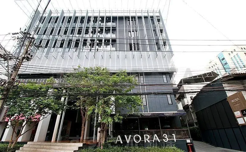 Avora 31