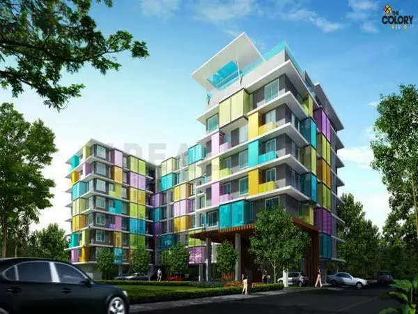The Colory Vivid