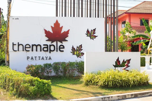 The Maple