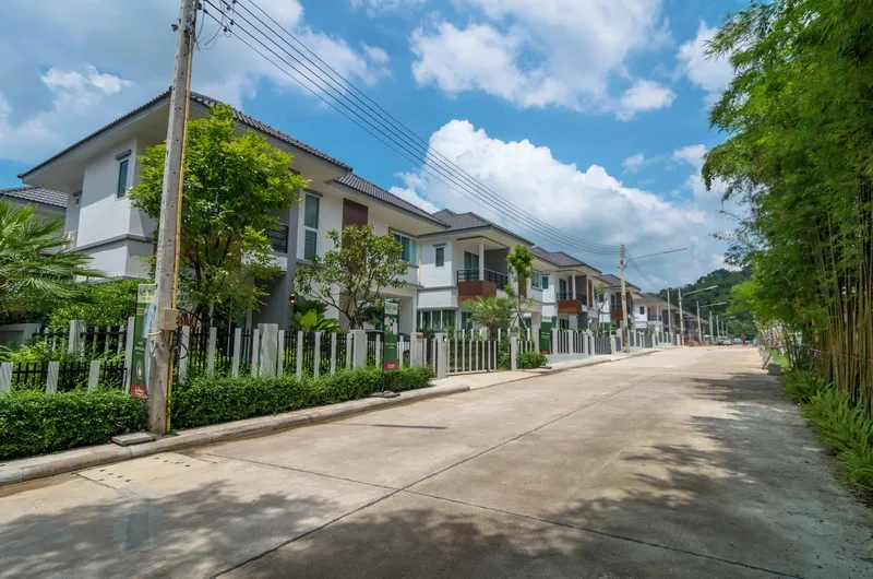 Living Hill