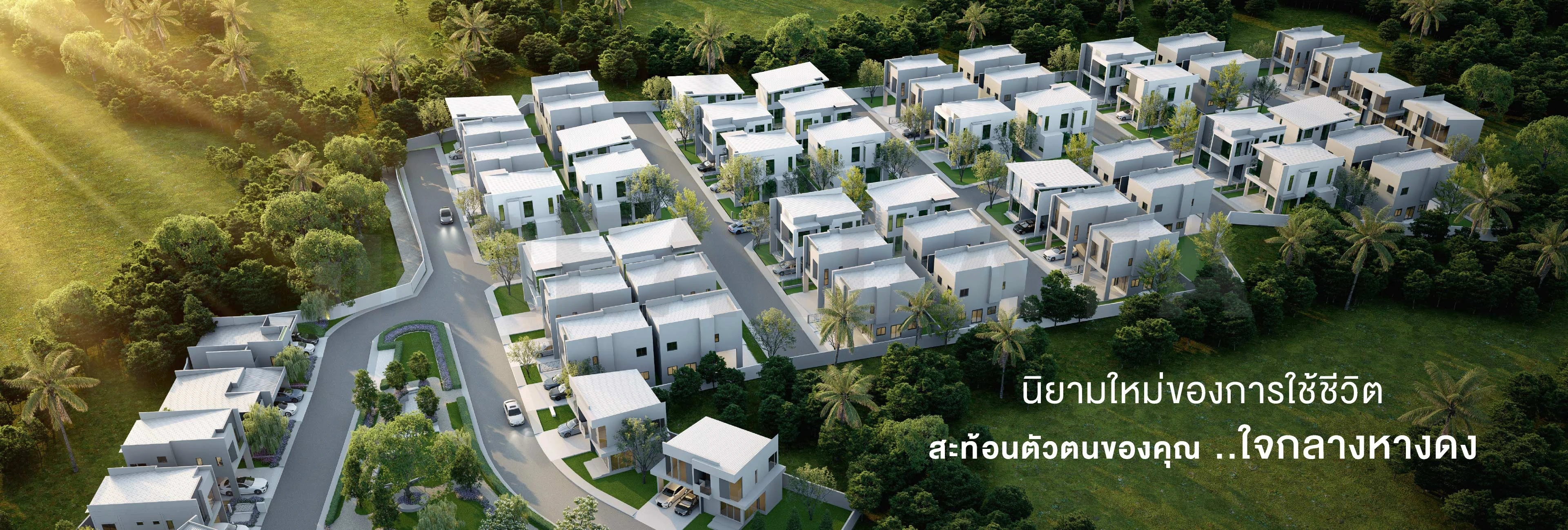 รูปที่ 3